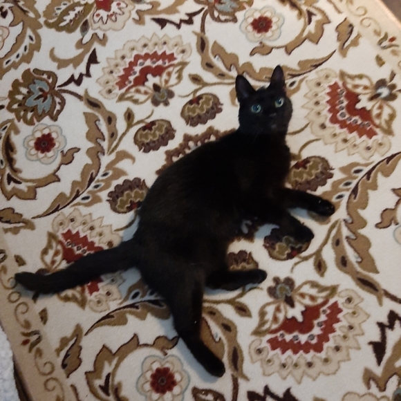 ♡ It's My Birthday Sale ♡ - Picture 11 of 11